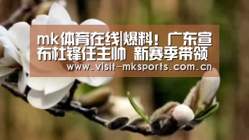 mk体育下载