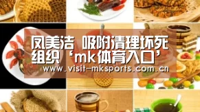 mk体育入口